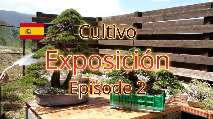 Book - Exposición Ep.2